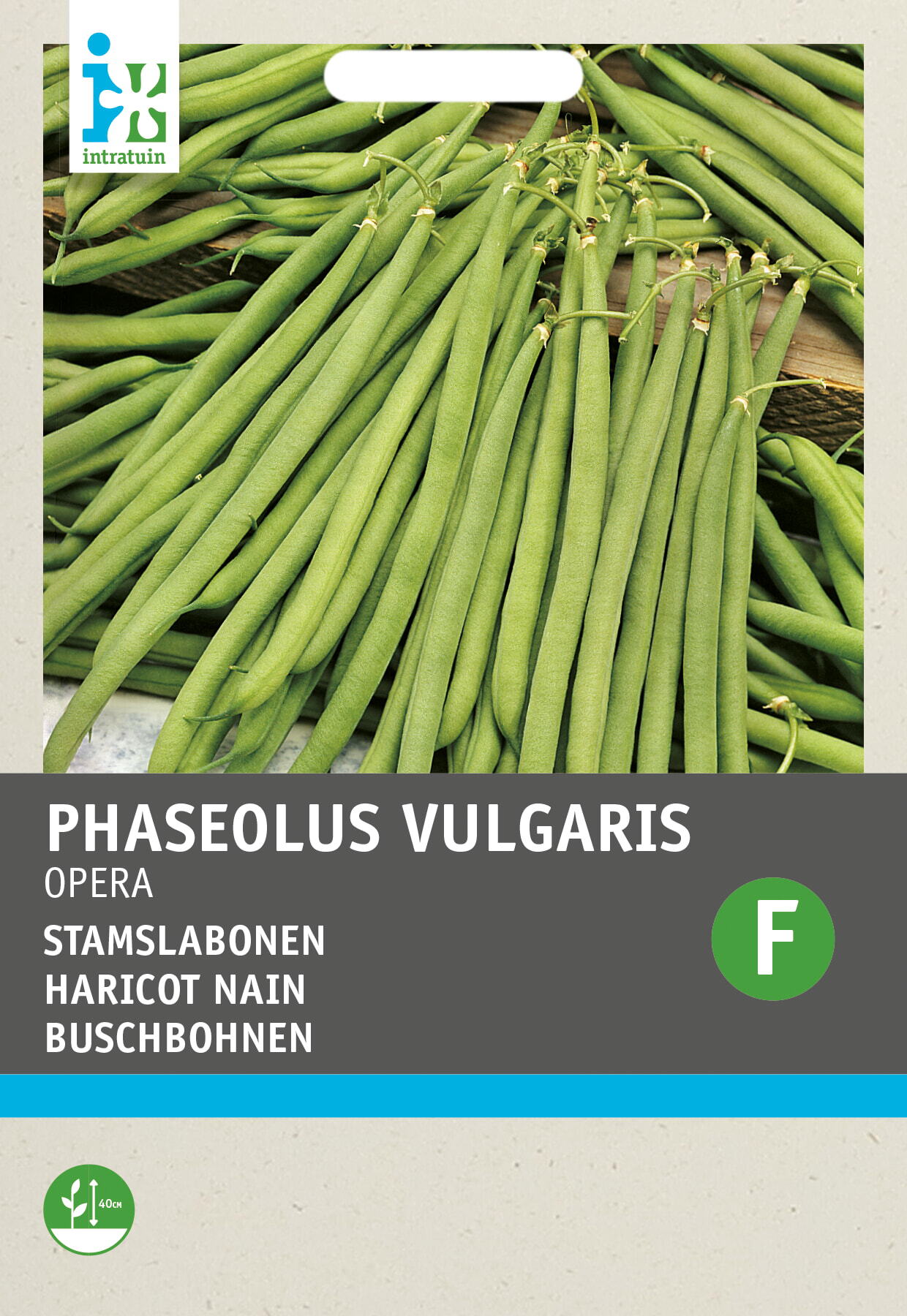 Intratuin groentezaad Stokslaboon (Phaseolus vulgaris 'Opera gourmet')