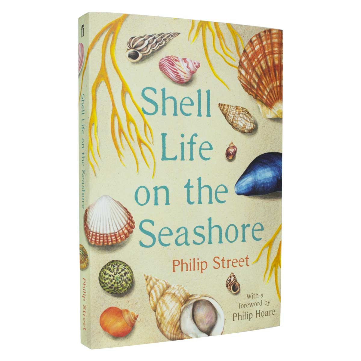 Shell Life on the Seashore (Paperback)
