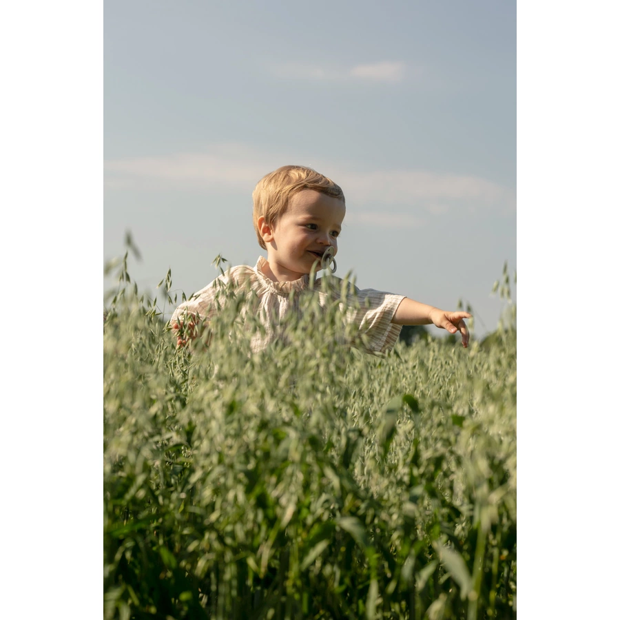 BIBS® Schnuller Colour WoodchuckHunter Green 0-6 Monate, 2 Stk.
