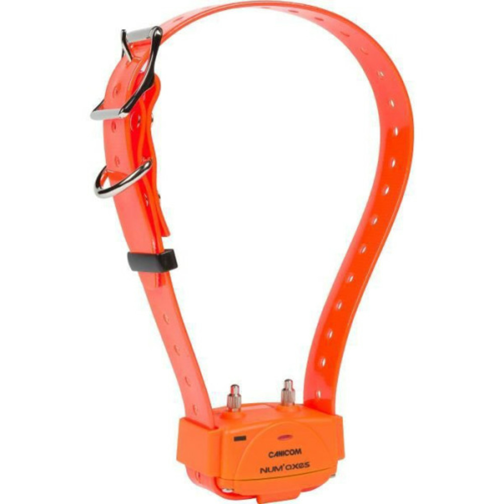 - collier seul - canicom - avec plasturgie orange et sangle orange fluo