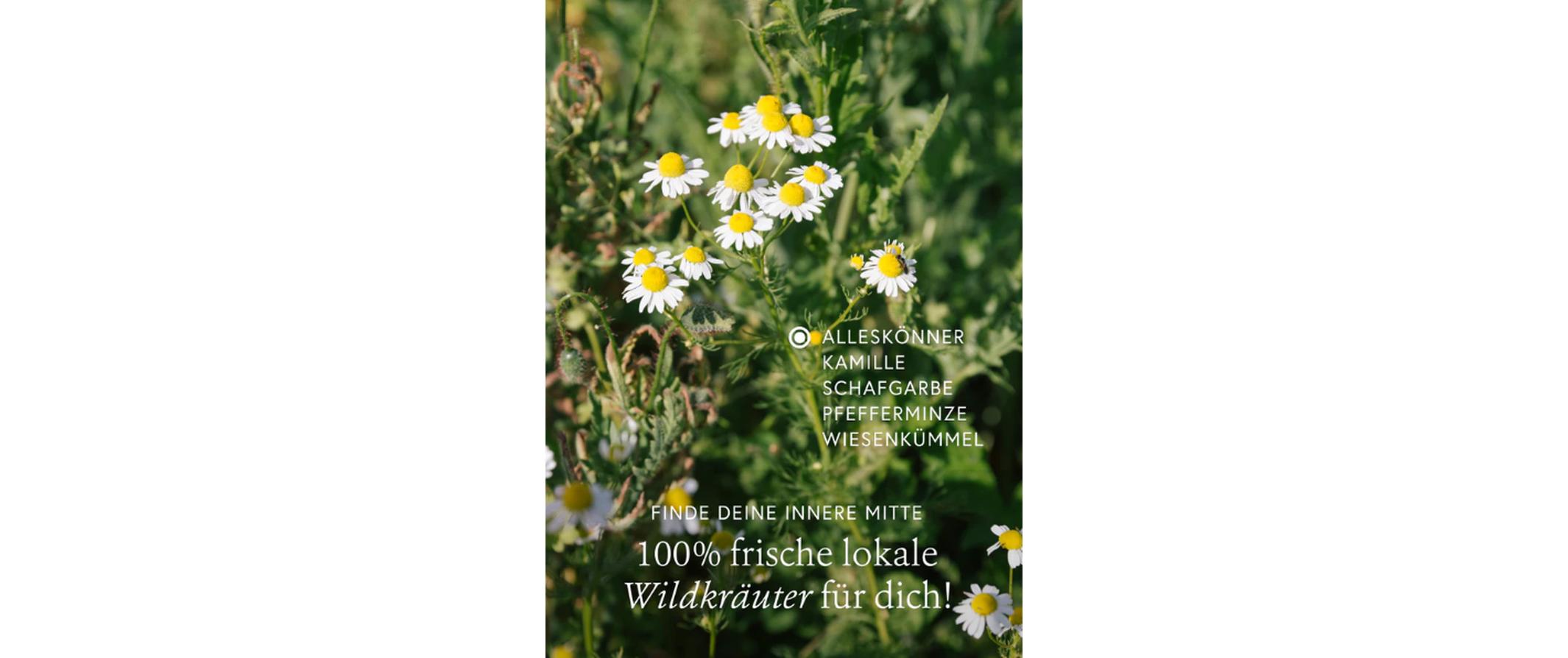 Balance Wildkräuterauszug 150 mlKraftvolles Wildkräuterelexier