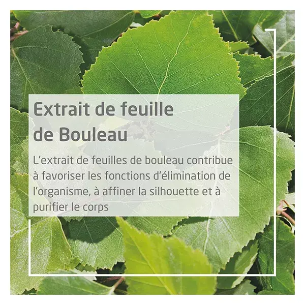 Suco de Bétula Orgânico Detox e Vitalidade Weleda 250ml