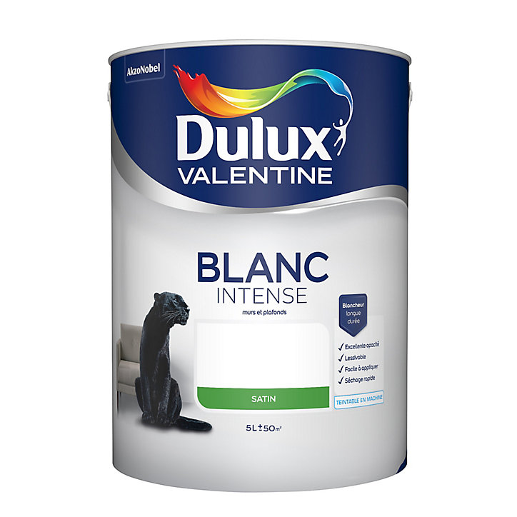 Peinture murs et plafonds phase aqueuse Dulux Valentine satin blanc 5L