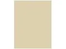 Perfect Stick Concealer (Kos,W,4g,6 Neutralizing Green)