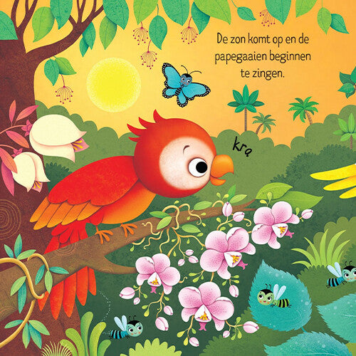 Uitgeverij usborne geluidenboek geluiden in de jungle