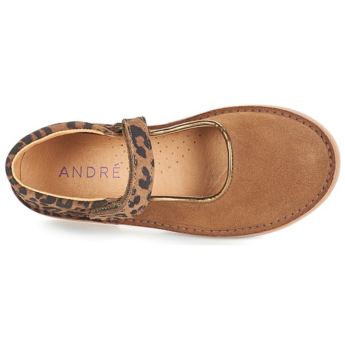 André - AURORA - Camel