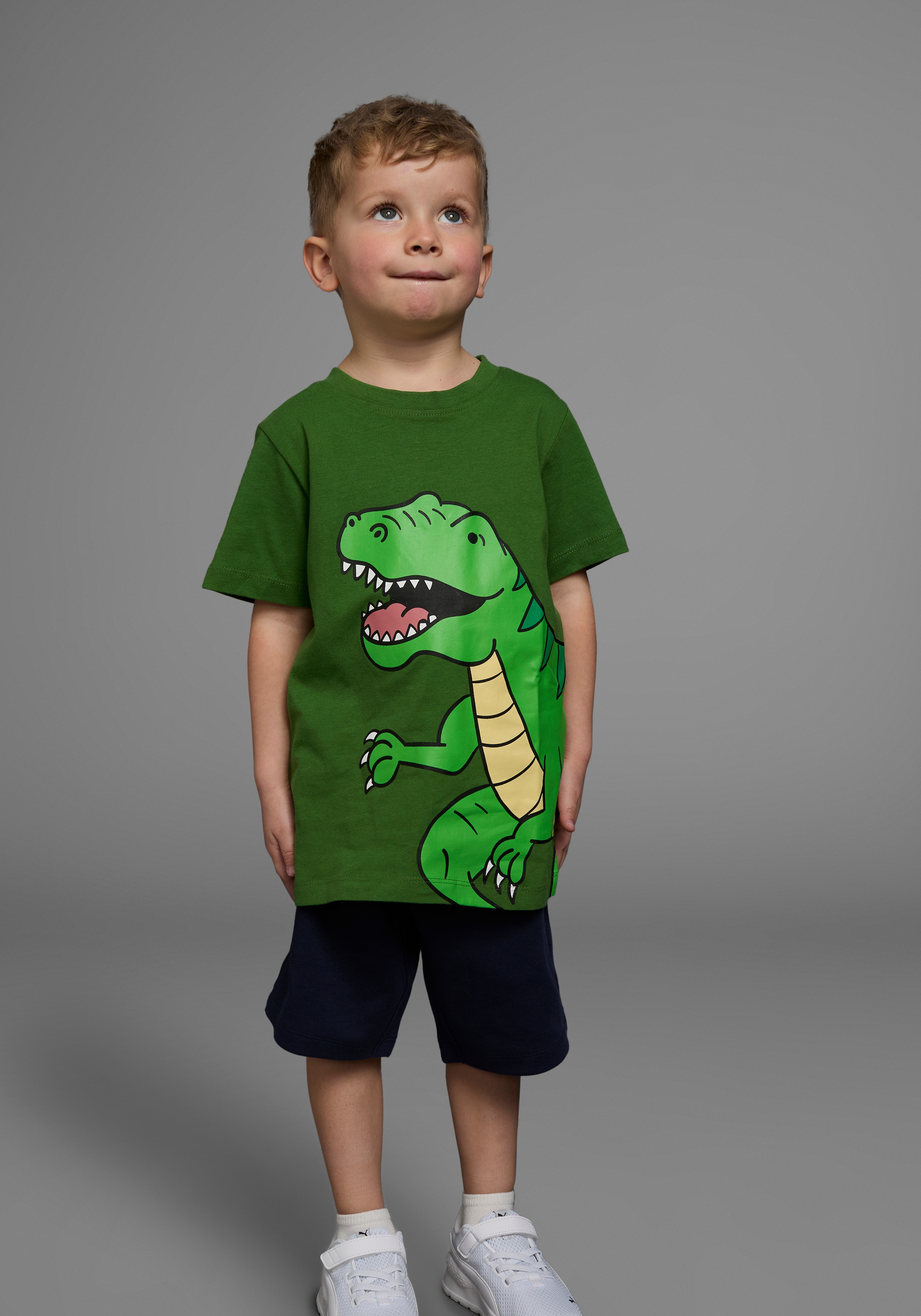KIDSWORLD T-Shirt »DINOSAURIER«, Kurzarm,  Basic-Passform,  bedruckt,  Rundhalsausschnitt