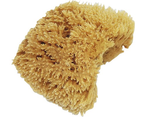 Schilders natuurspons EffectLine 11-12 cm