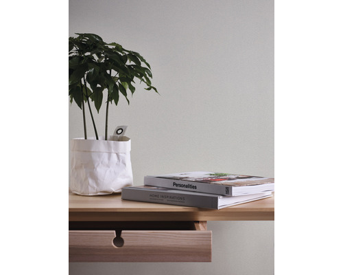 Vliesbehang 3110-16 Meistervlies ProProtect viltpleister wit