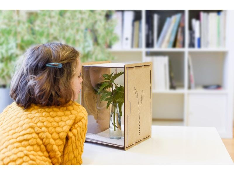 Mein Raupenkasten Insektenhotel Raupenkasten Aufzucht-Box