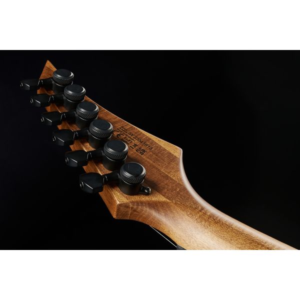 Solar Guitars E1.6AAN Aged Natural Matte