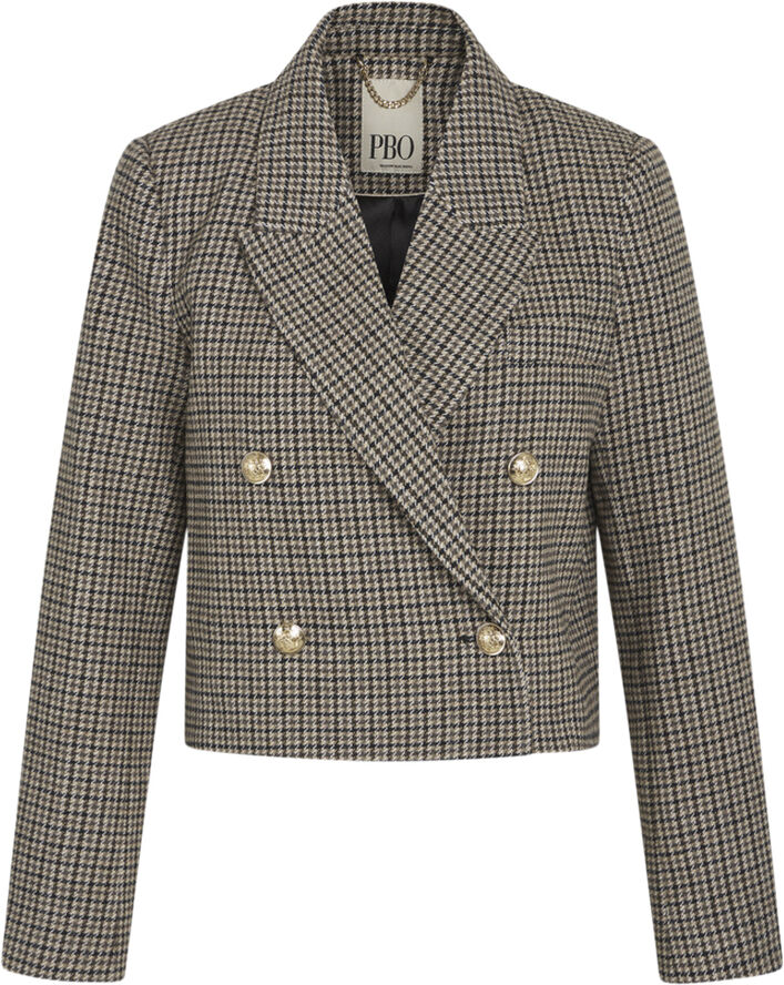 PBO ¤ Projecto blazer ¤ Check