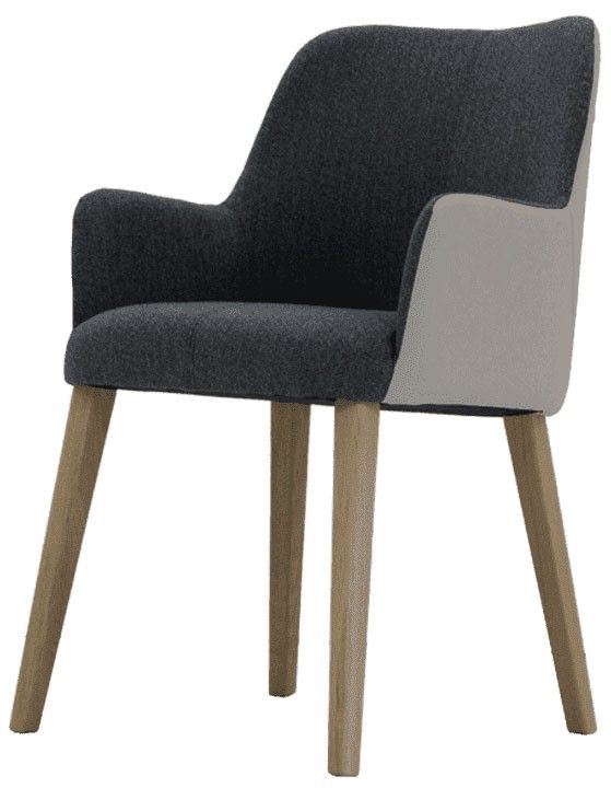 Eetkamer fauteuil Louix B55 x D58 x H85 cm