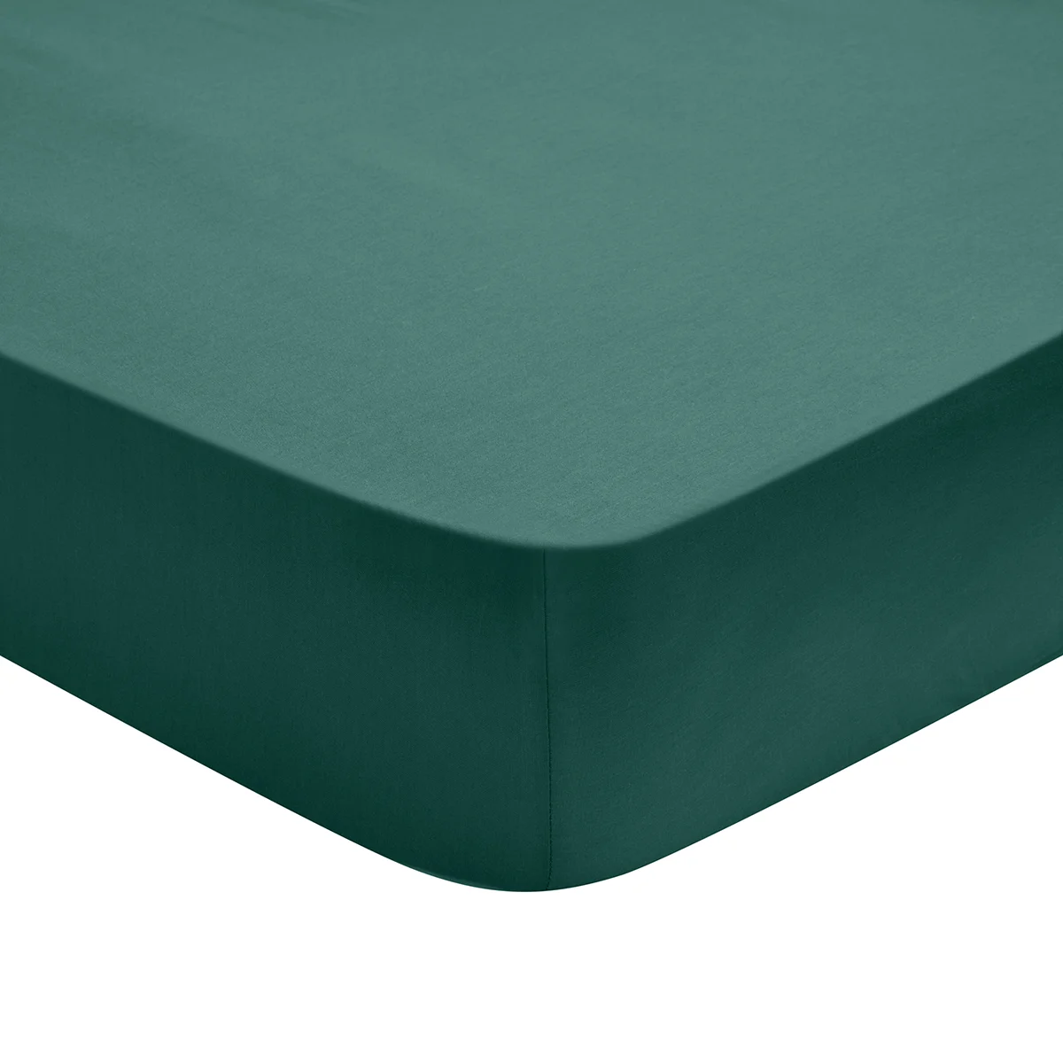 Drap Housse Influence Percale Forêt