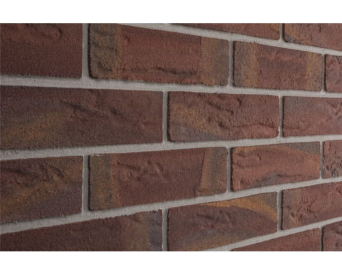 Elabrick gevelsteen Kiel 24 x 7,1 cm buiten