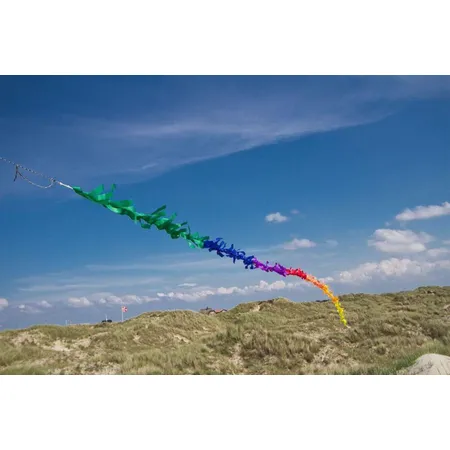 Fransenschwanz Rainbow