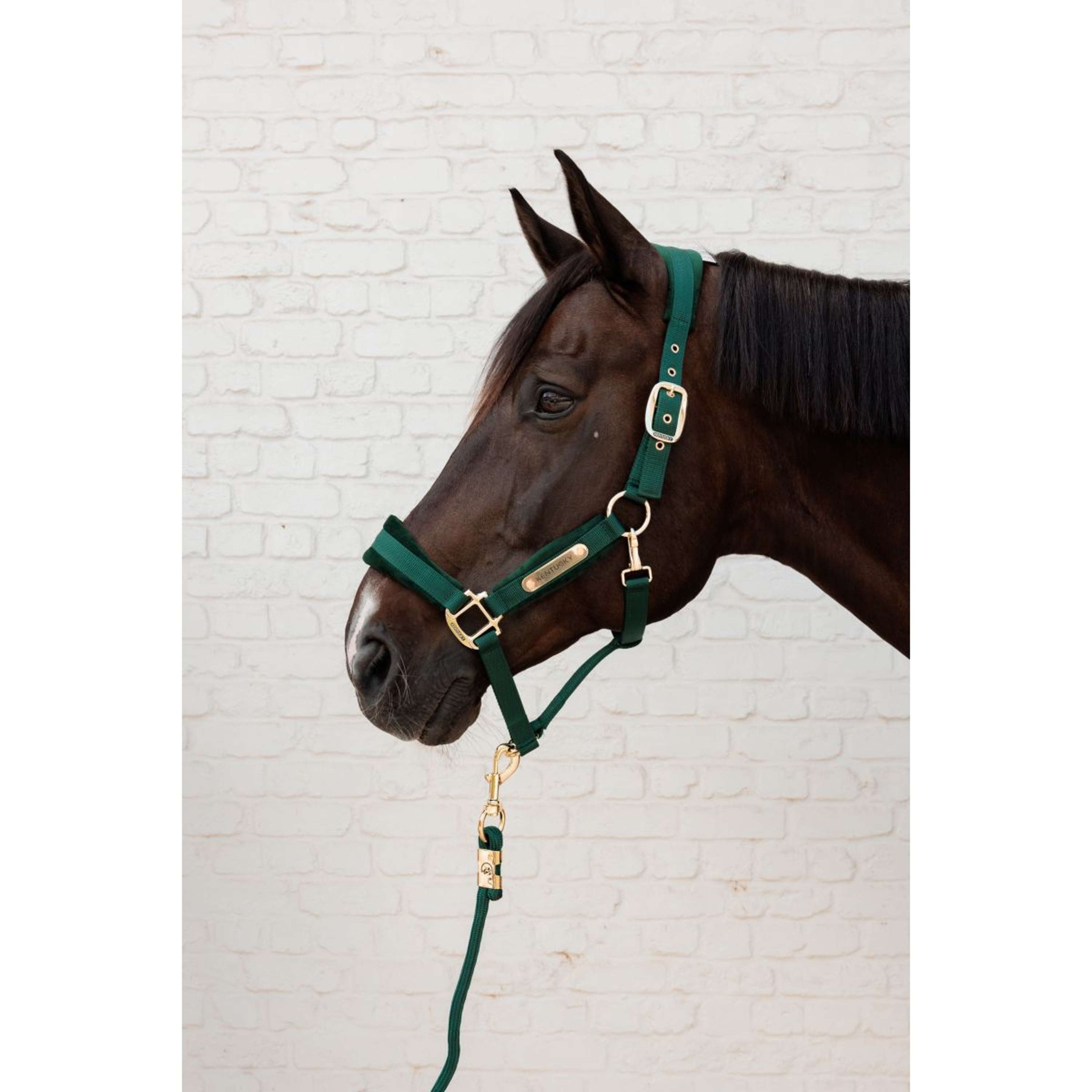 Kentucky Halstertouw Basic Pine Green