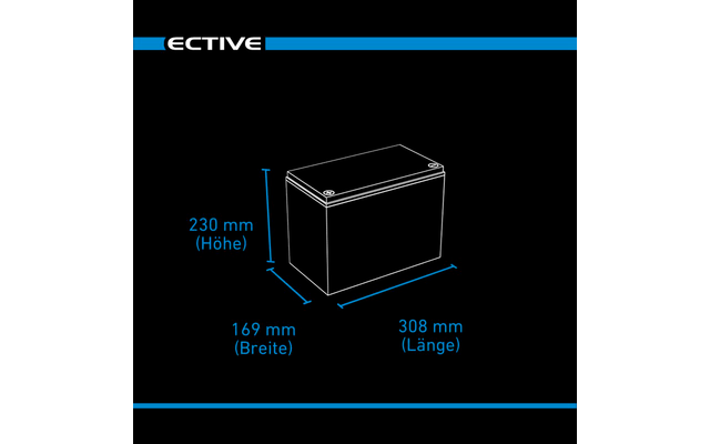 Ective LC BT 12 V LiFePO4 Lithium Versorgungsbatterie