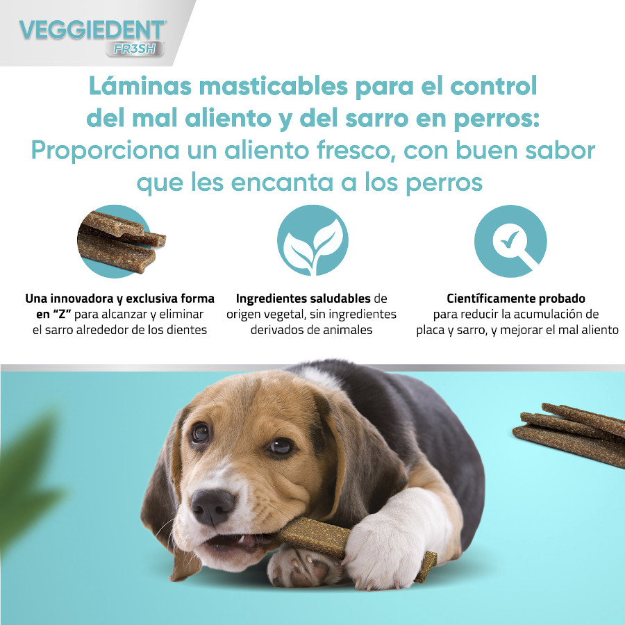 Petiscos dentais frescos Virbac Veggiedent para cães de porte médio.