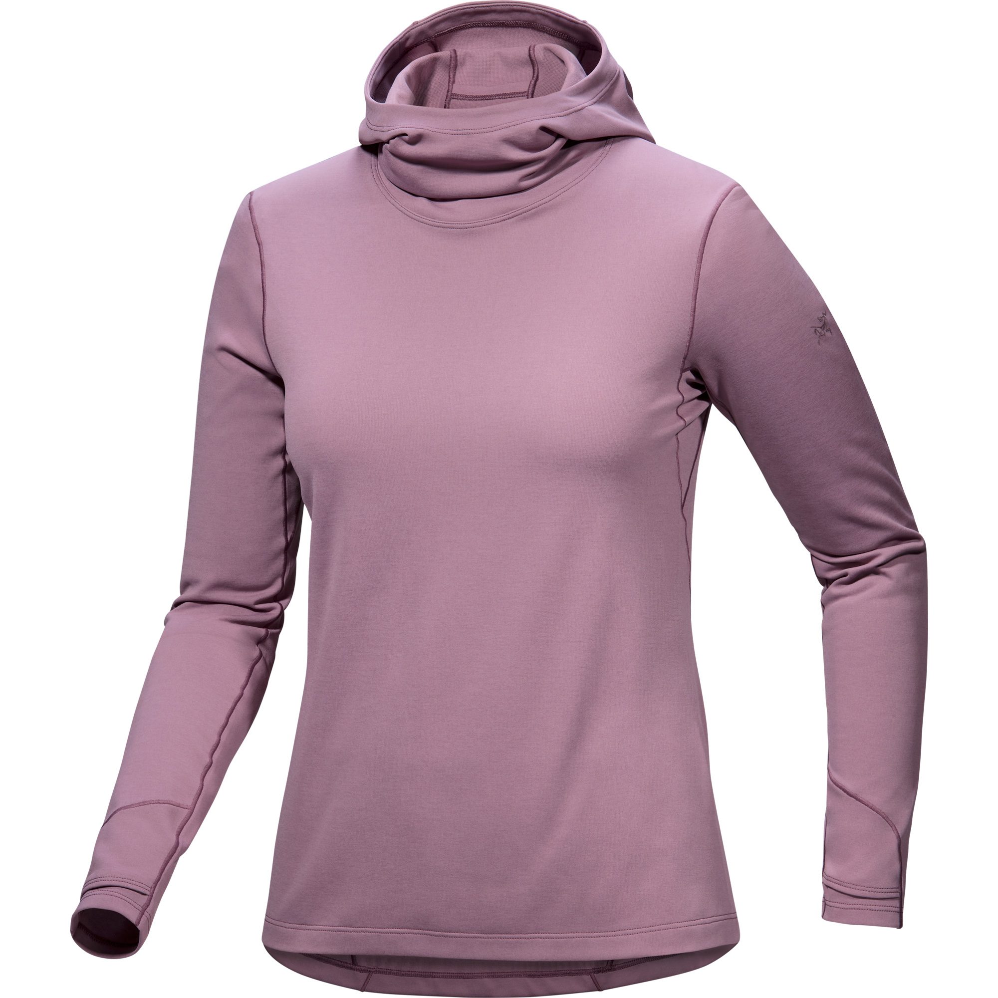 Arc'teryx Taema Thermal Hoody Damen interstellar heather