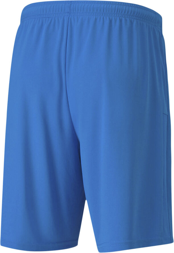 Puma Teamgoal 23 Knit shorts Blå