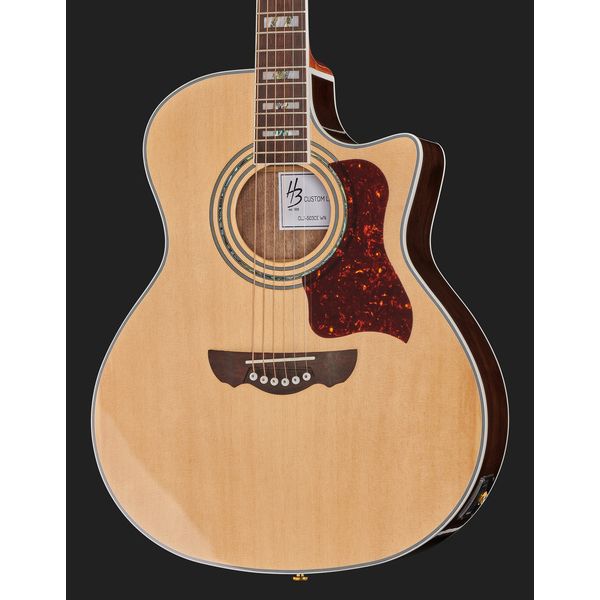 Brümmer Akustikgitarren Set 3