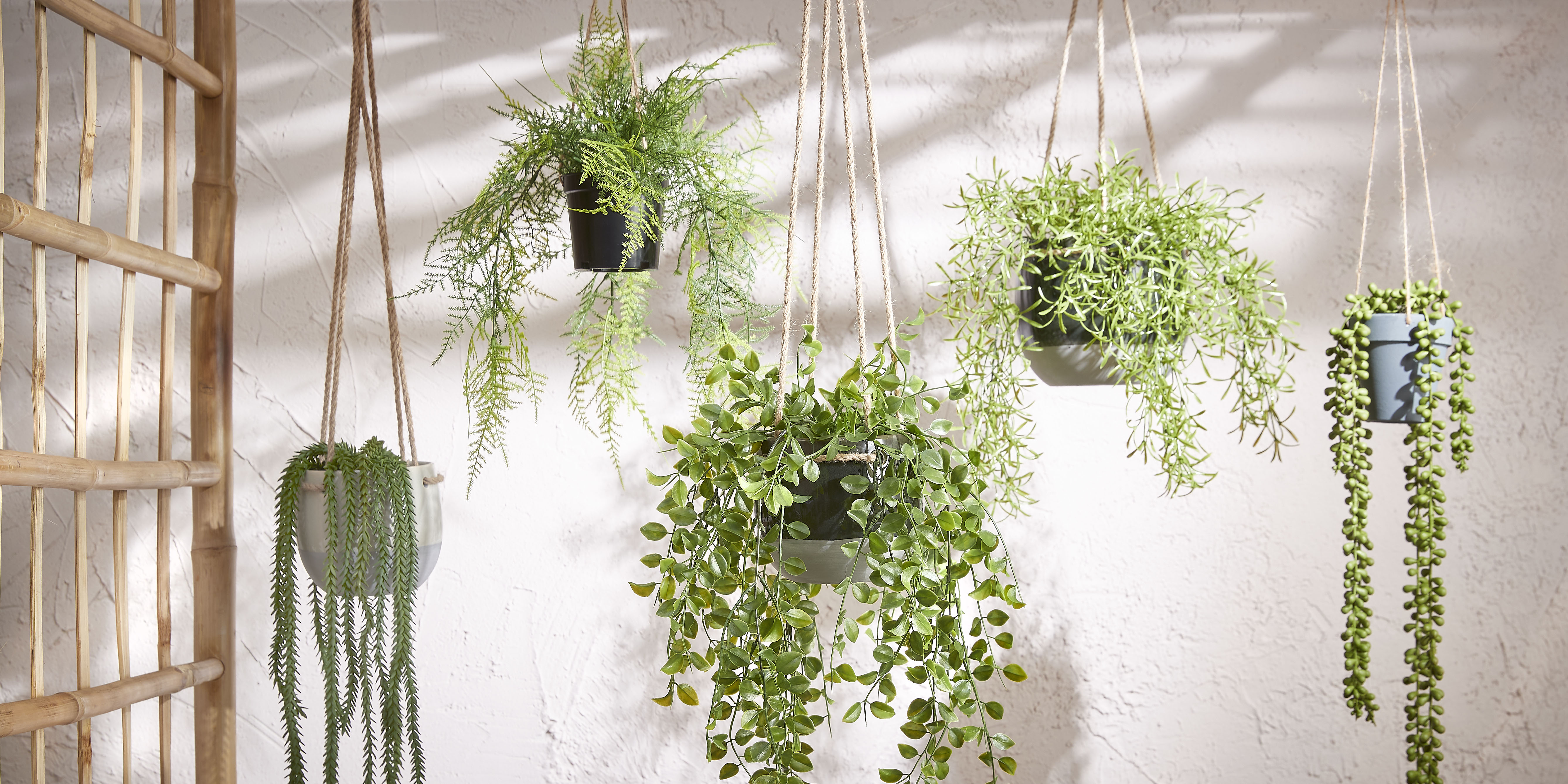 Mica decorations - senecio artificielle à suspendre vert en pot h56