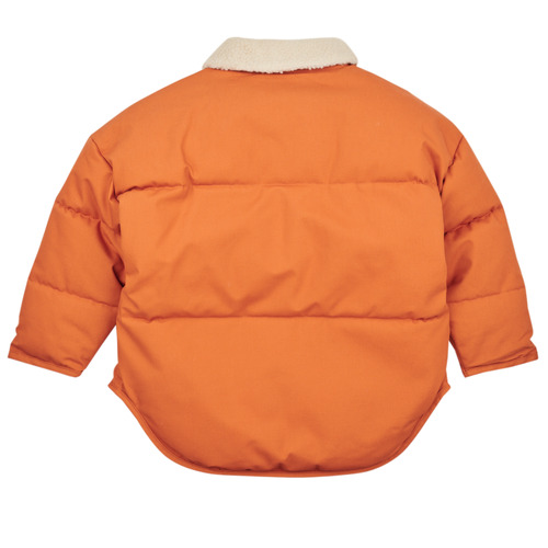 Petit Bateau - LOGIN - Camel