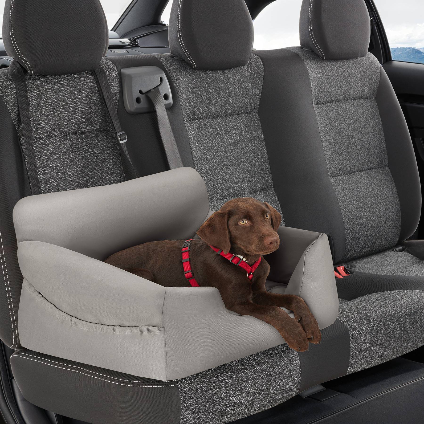 Hundeautositz Milow