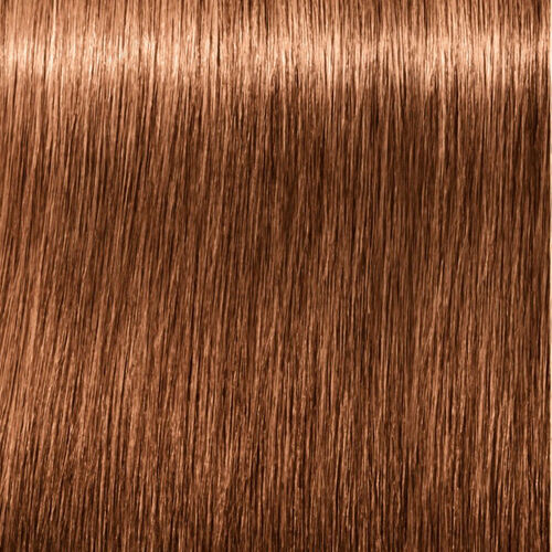 Schwarzkopf - Igora Royal 7-65