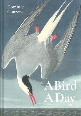 A Bird A Day - A Day (Hardback)