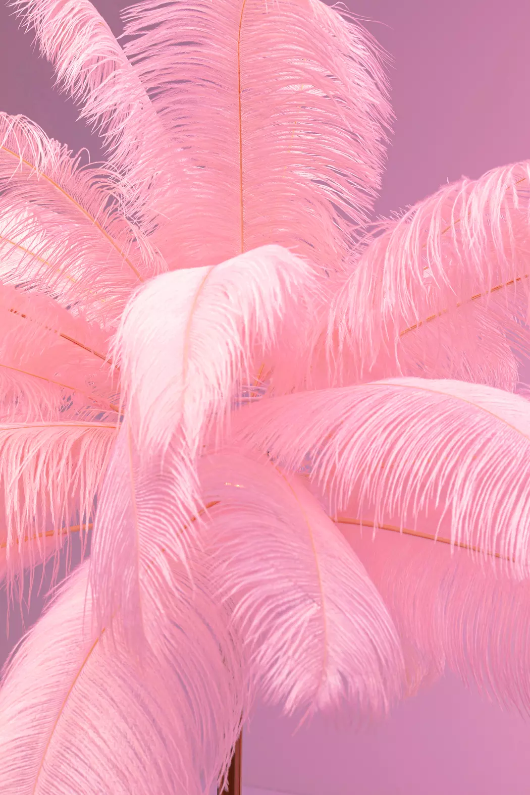 Stehlampe Feather Palm