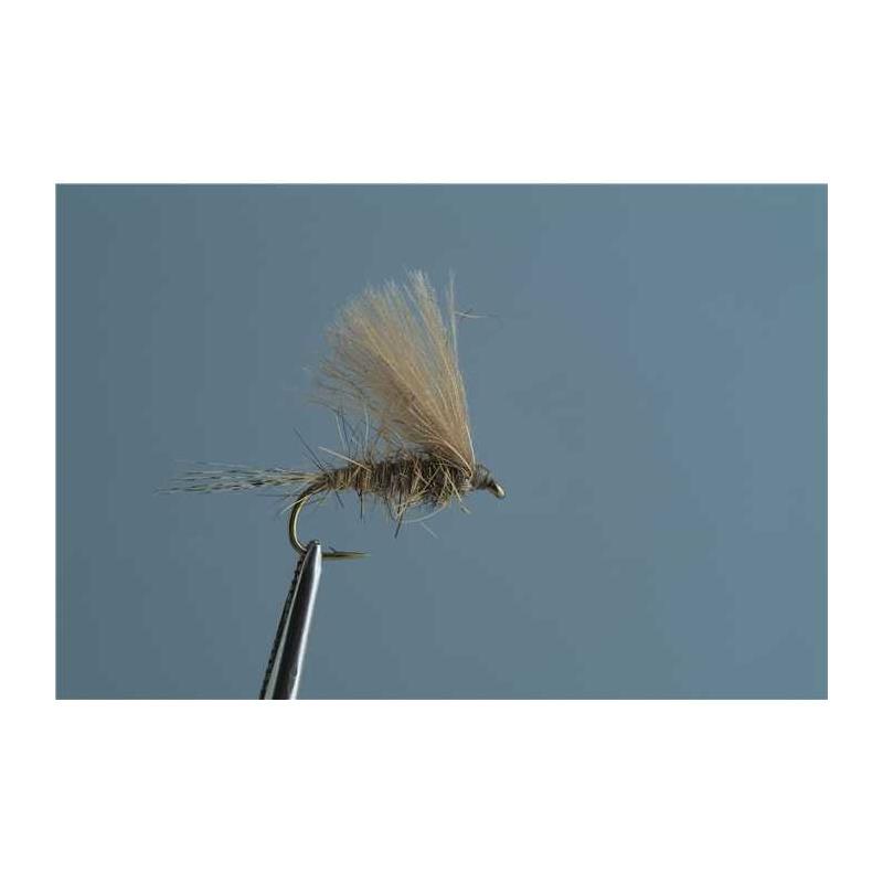 Mouche Tof Émergente Oreille De Lievre