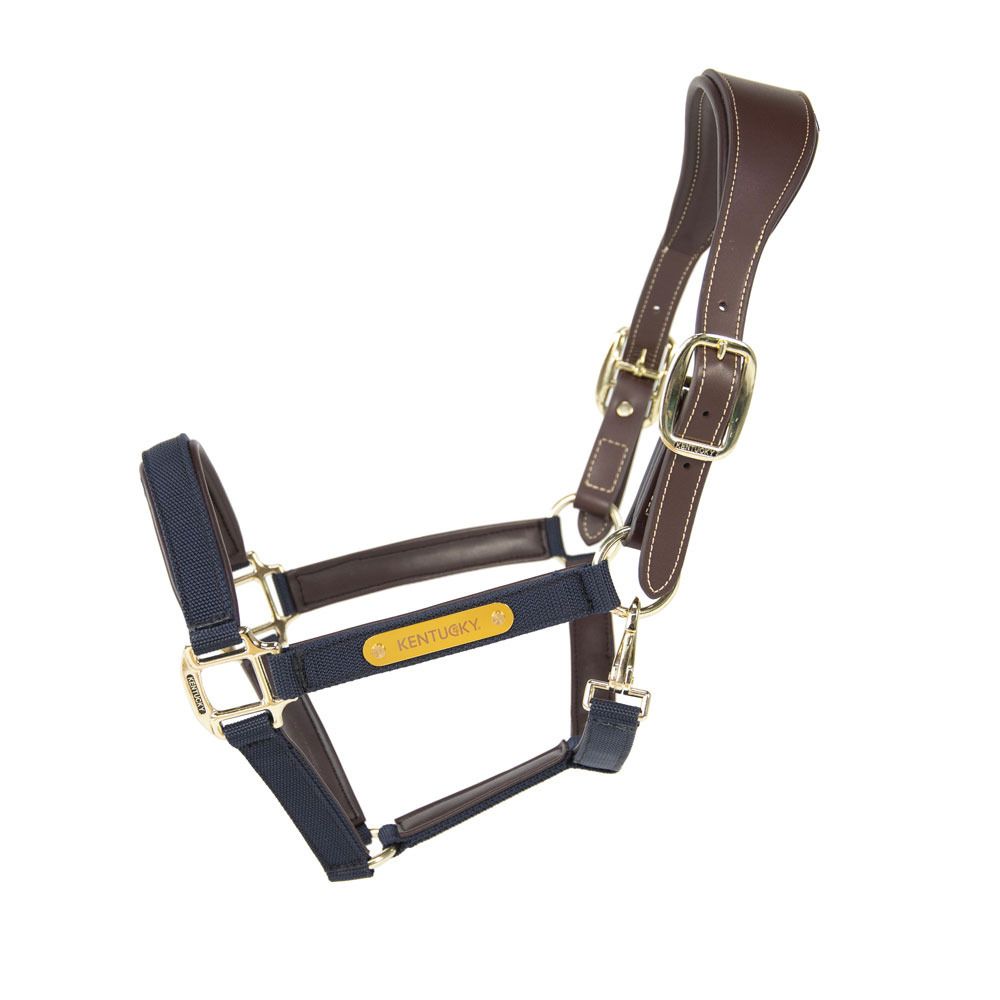 Kentucky ANATOMIQUE NYLON - Licol navy