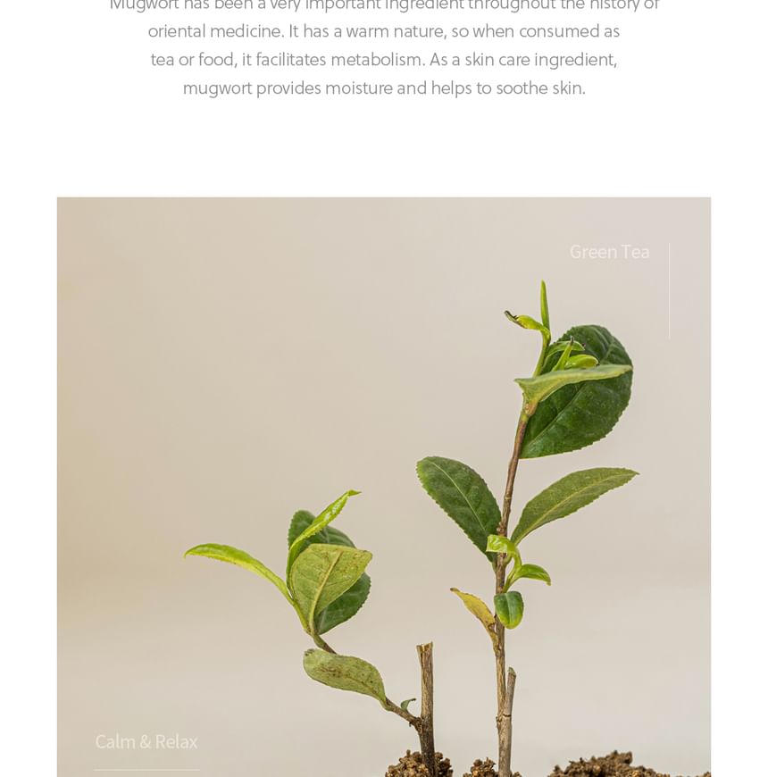 Beauty of Joseon - Kalmerend serum