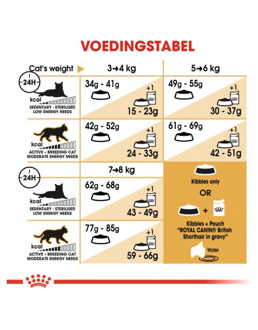 Royal Canin British Shorthair Adult - Kattenvoer