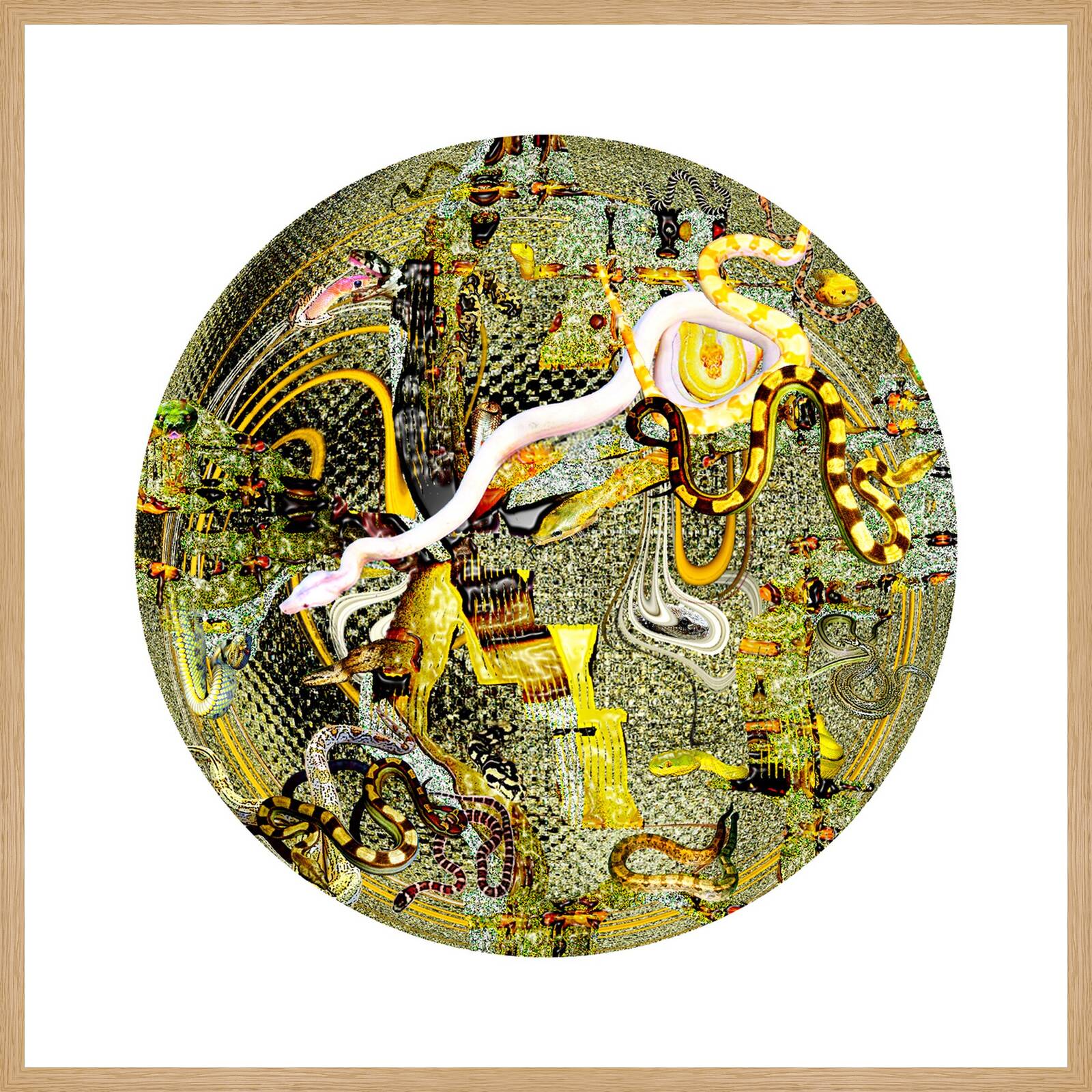 Snake spawn by Heidrun Göres - Limited Edition. Edition of: 150. Signed.