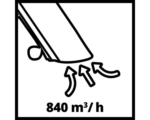 EINHELL GC-EL 3000 E elektrische bladzuiger/blazer