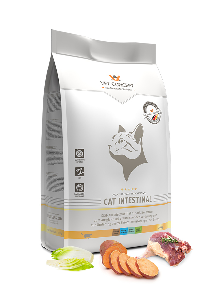 Cat Intestinal