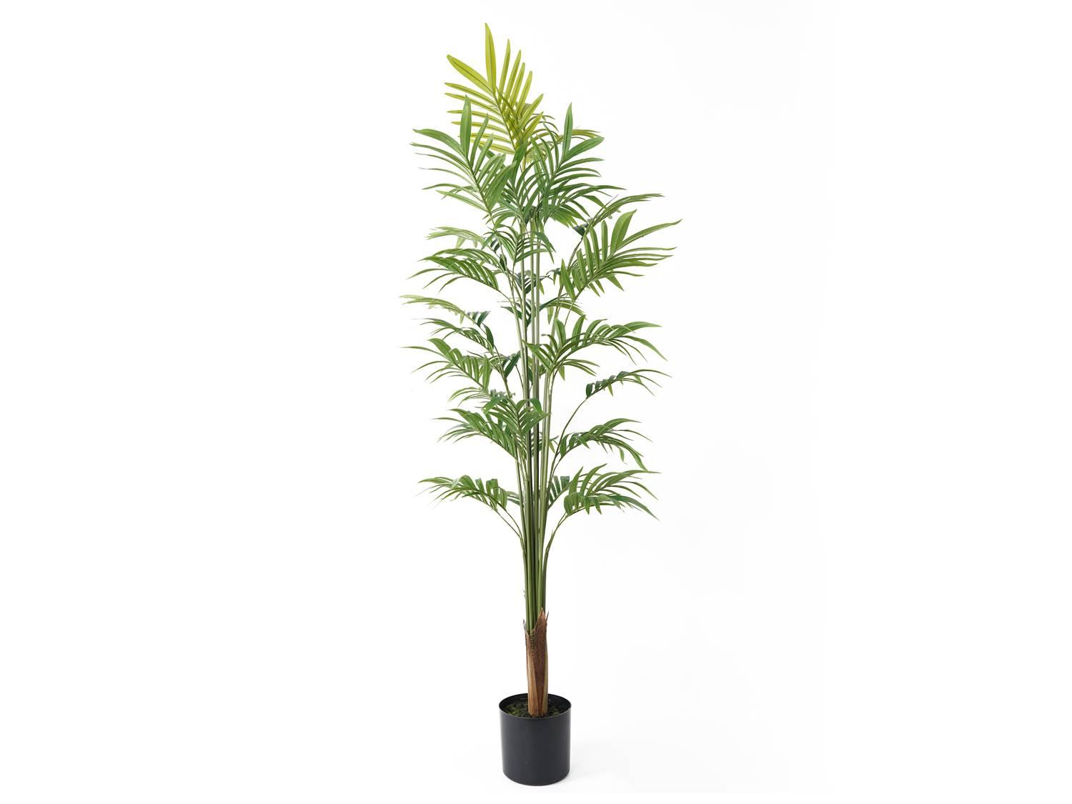 present time - Artificial Plant Gold Palm Tree Large