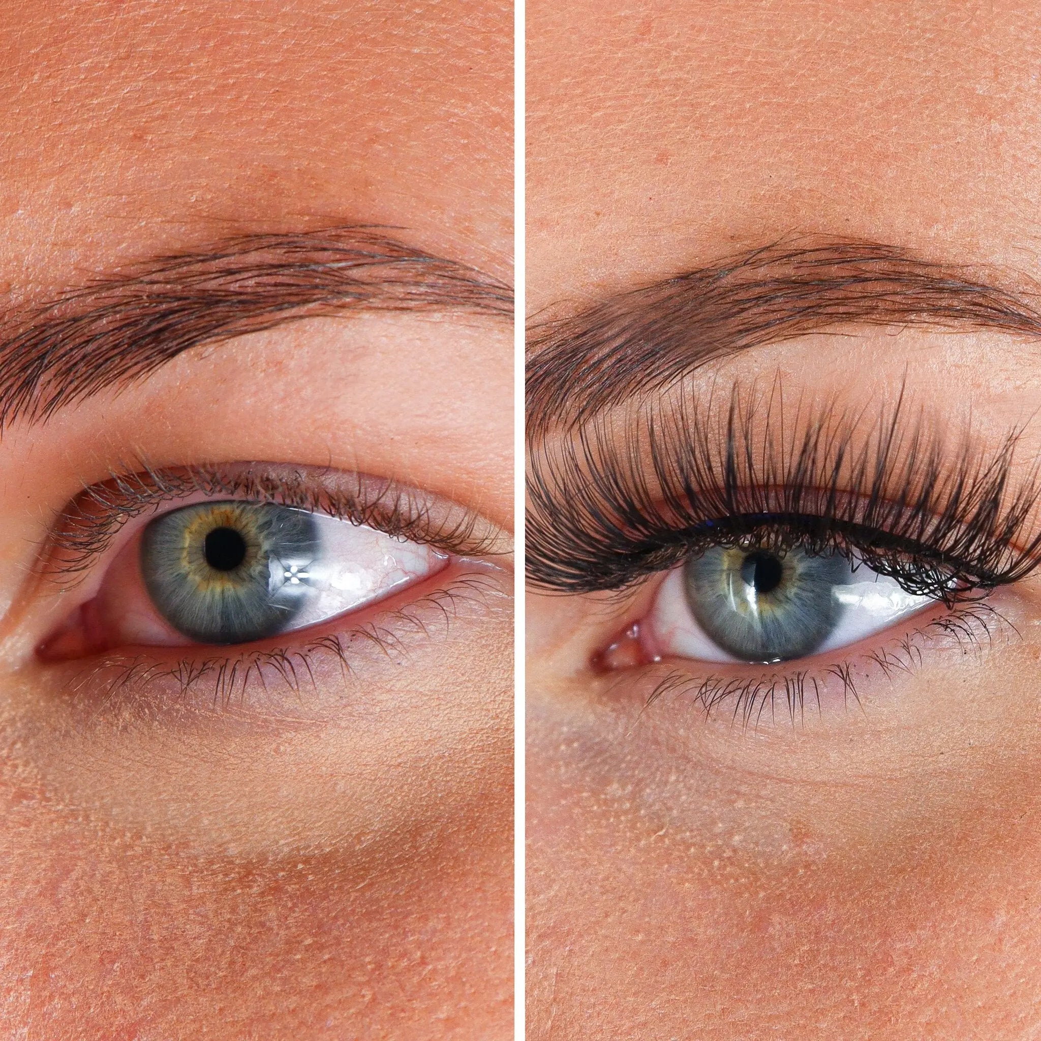 Lashes Felicia