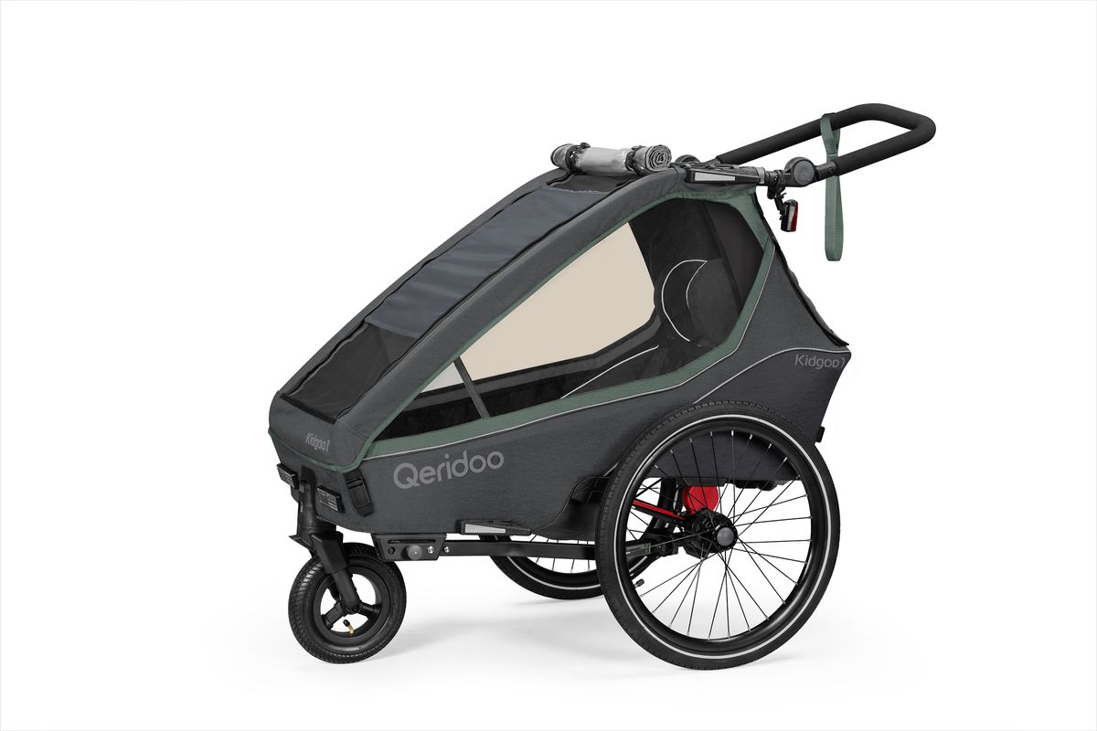 Qeridoo Fahrradanhänger Kidgoo 1 Ivy Green