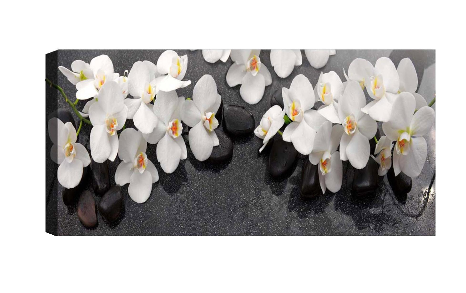 Bild Orchideen 30 x 80 cmDekorative Leinwandmalerei