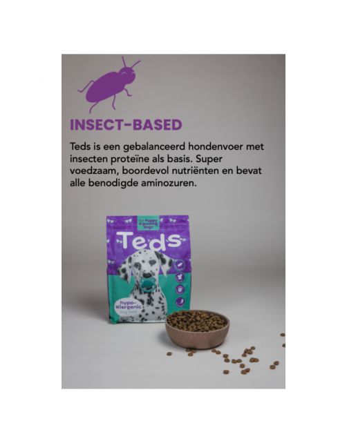 Teds Puppy & Growing Insect Hypoallergeen Insecten - Hondenvoer