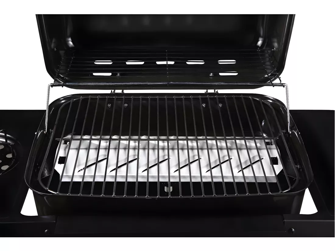 Barbecue gaz 