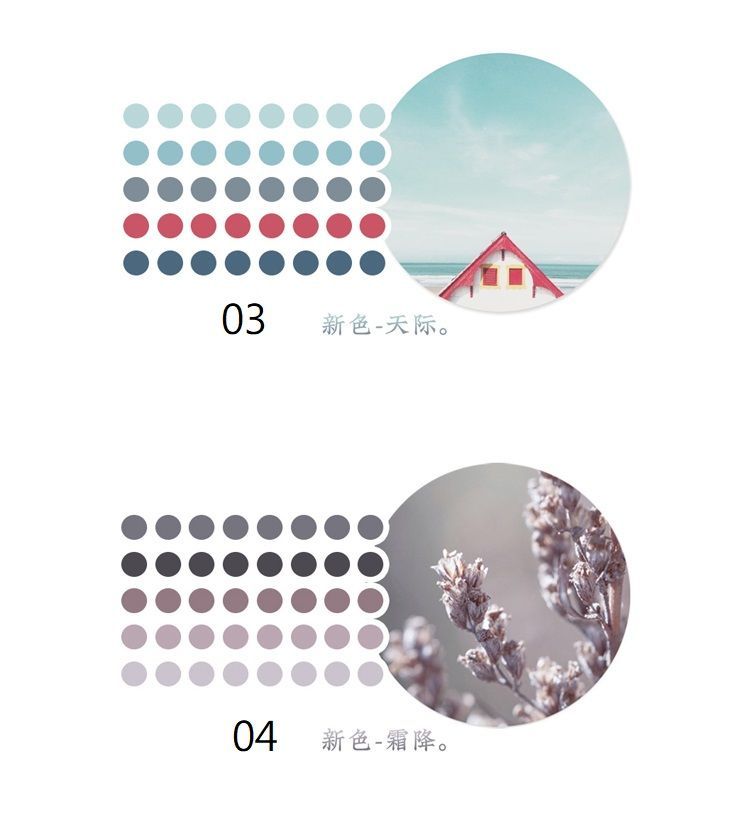 Jun's Journal - Polka Dot Masking Tape
