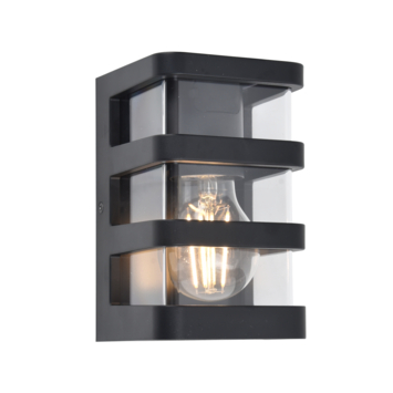 LUTEC wandlamp Dalton zwart 25W
