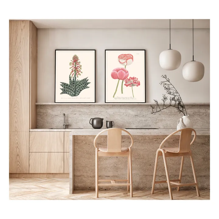 Les Jolies Planches Planche Jardin Papaver Hortense