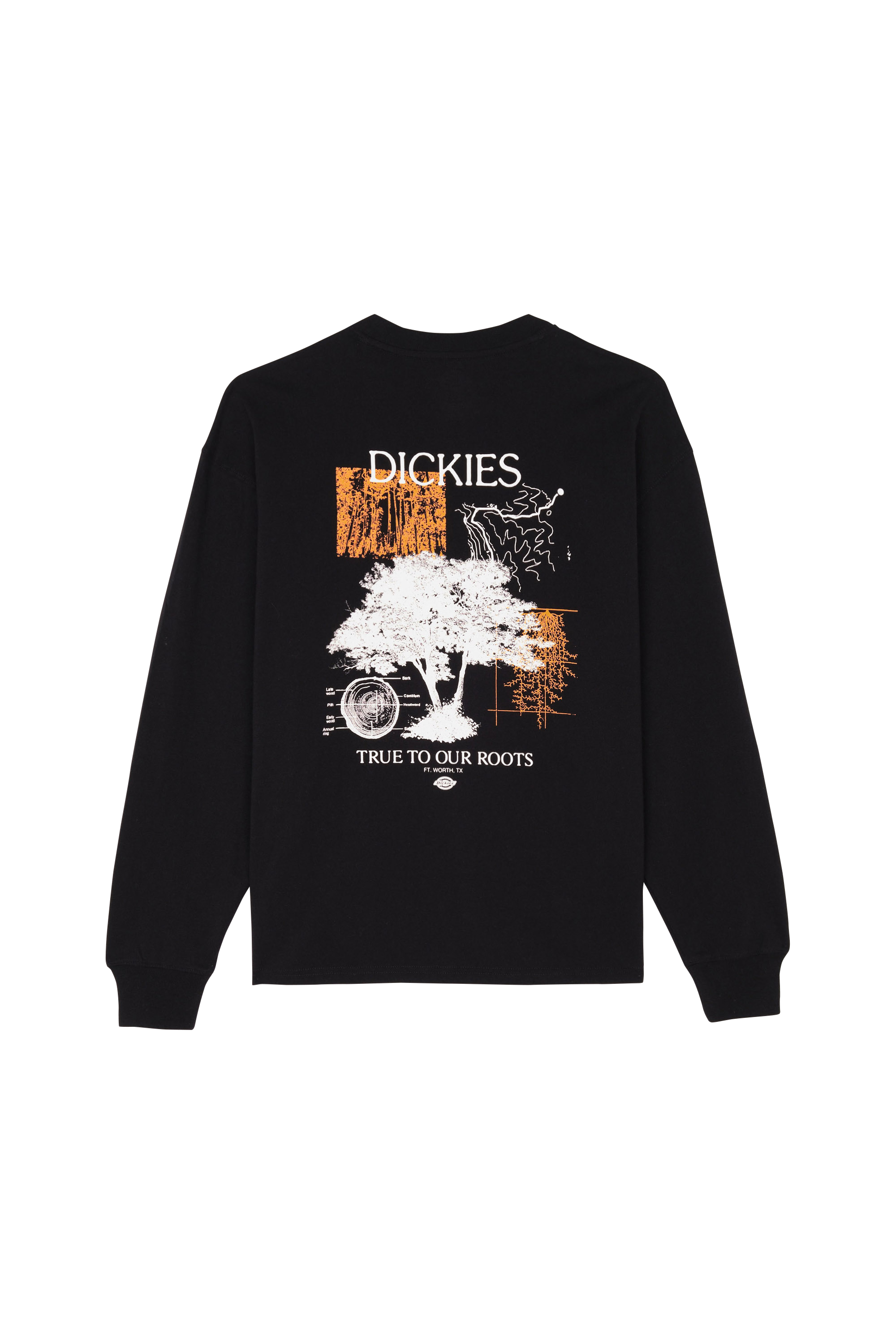 DICKIES T-shirt  KENBRIDGE TEE  Noir