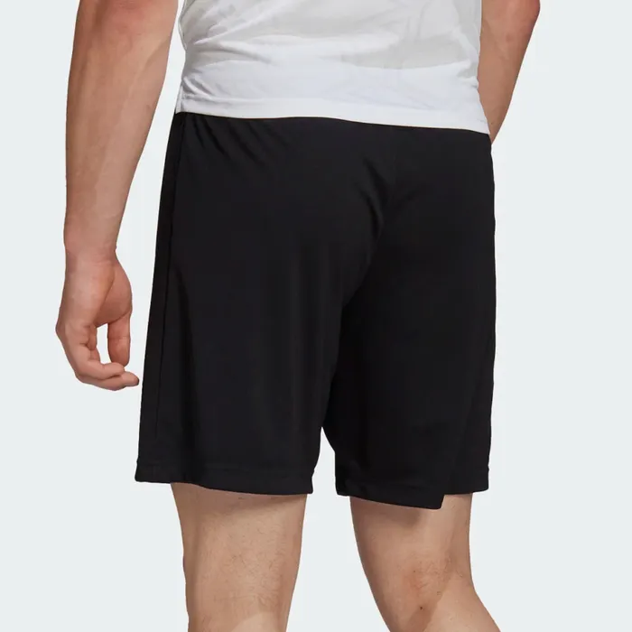 Adidas Entrada 22 Short Heren